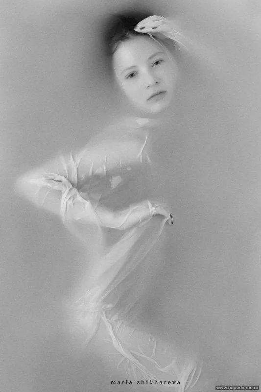 photo #46156