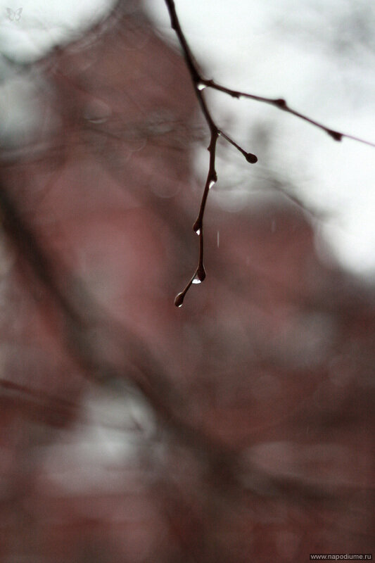 Фото Nataly SmileOnMe _