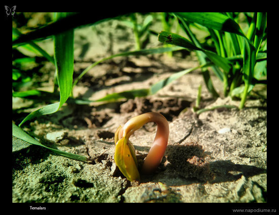 Фото Artyom Dreychuk