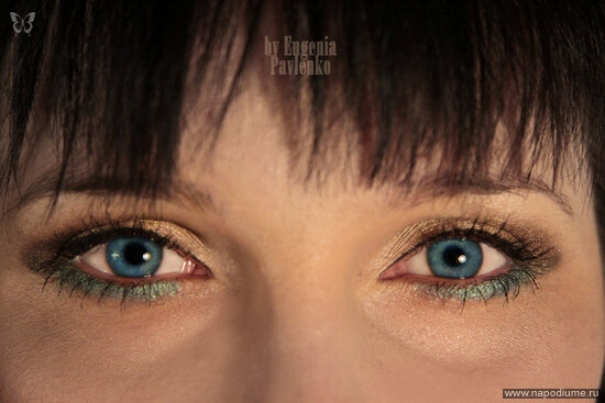 Eugenia euphoria Pavlenko
