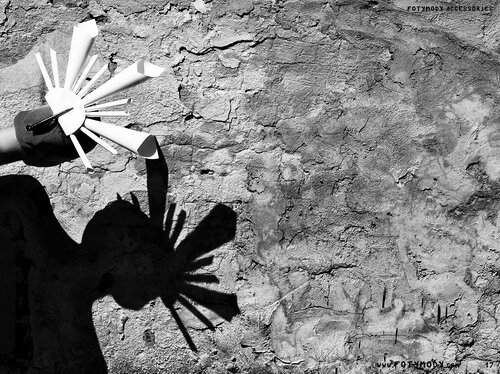 Фото Viktoriia Martsynkiv
