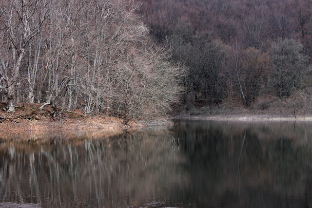 Фото Екатерина Белова