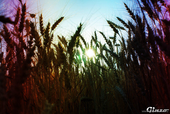 Фото Artyr Ginzo