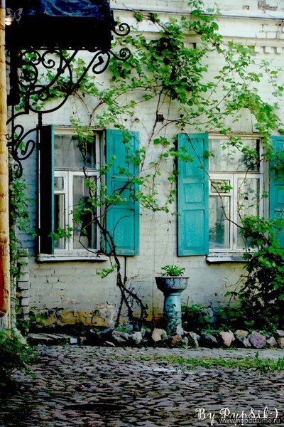 Фото Юлия Ляшок
