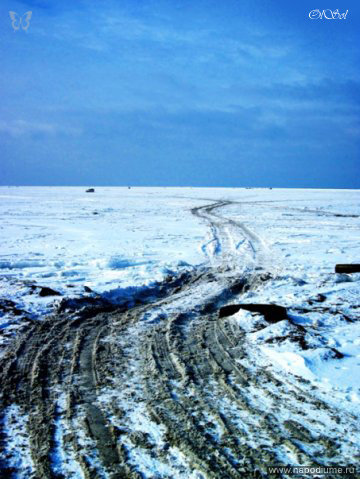 Фото Алексис Олейникова