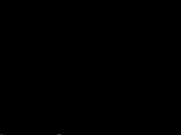 Фото G G