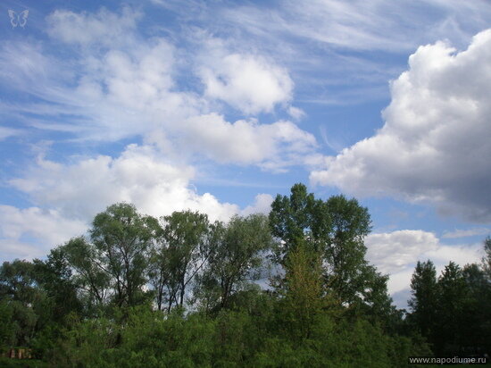Фото Юлия Liya