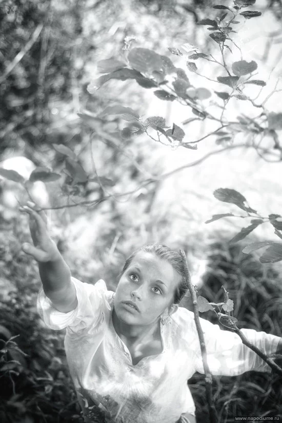 Vladimir Pavlov's photo