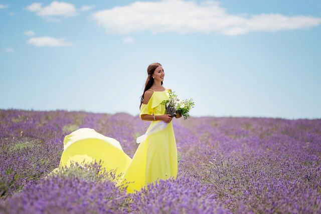 People in nature, Lavender, Lavender, English lavender, Flower, Purple, Field, Yellow, Violet, Plant