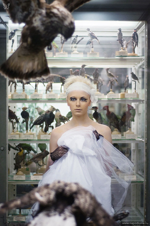 Фото КрисТина Розова