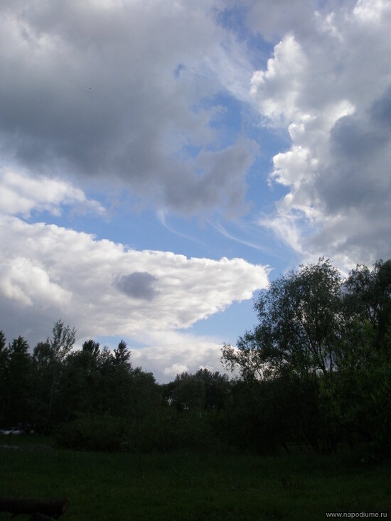 Фото Юлия Liya