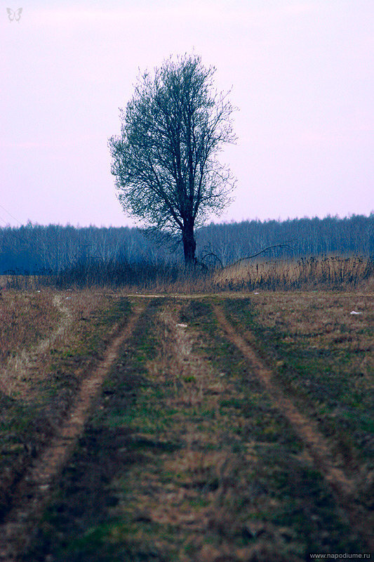 Фото Андрей Шипилов