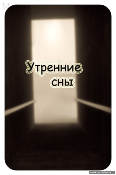 монокль