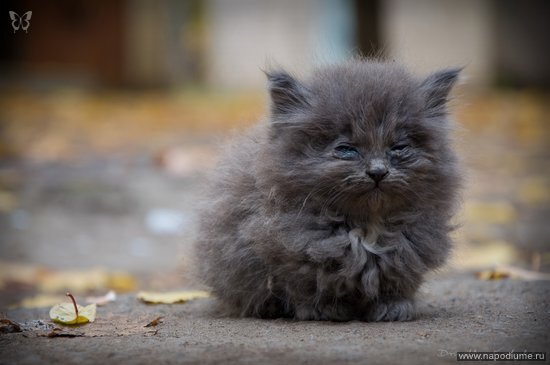 Фото Дмитрий Котюков