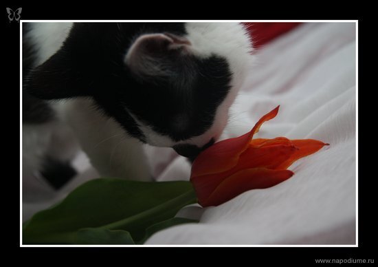 Фото Нина Платонова