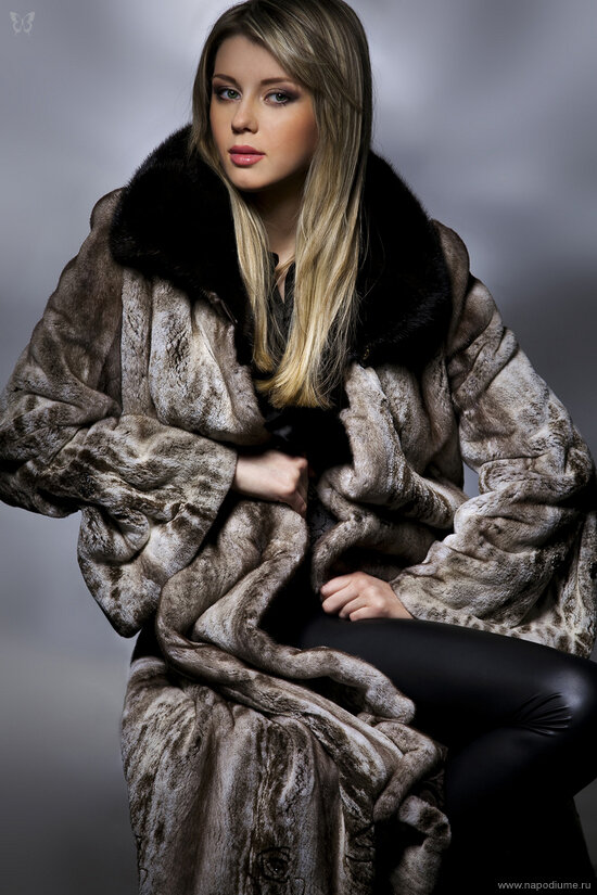 Fashion
