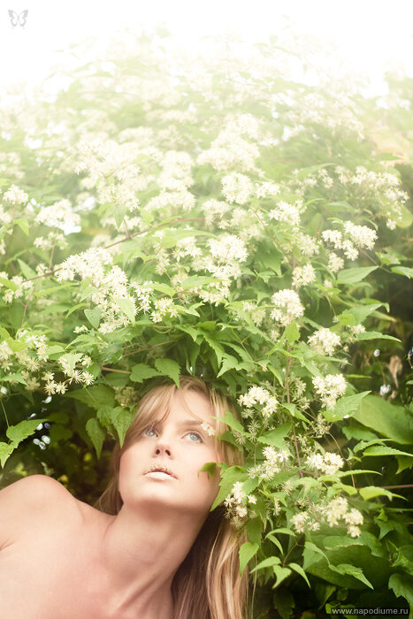 Фото Anastasia Zharkova