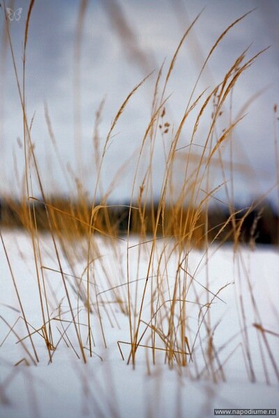 Фото Nataly SmileOnMe _