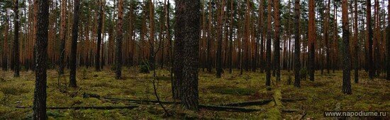 Фото Александр Кондауров