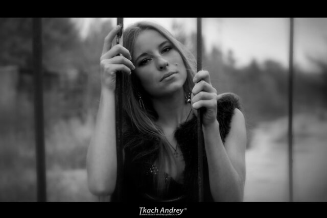 Фото Андрей Ткач