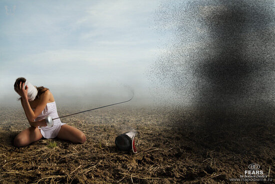 Фото Dmitry Borisov