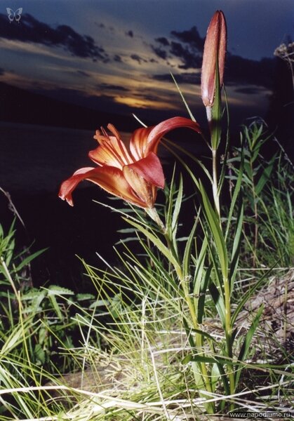 Фото Софья Иванова