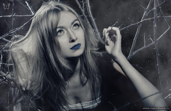 Foto Alena Segol'kova