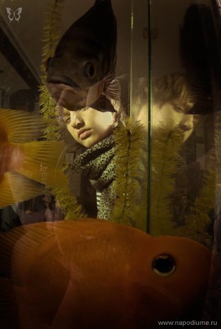 Foto Maksim Dackevic