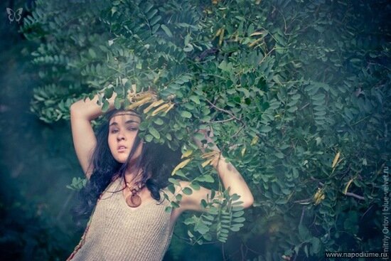 Фото Iva Basara