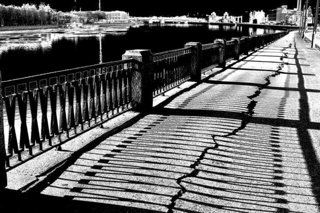 Фото Дмитрий Морозов