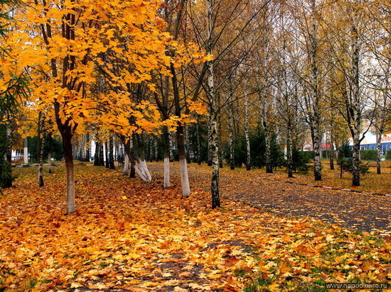 Фото Татьяна Зуева
