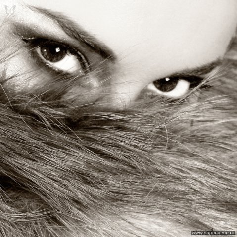 Фото Anna Basina