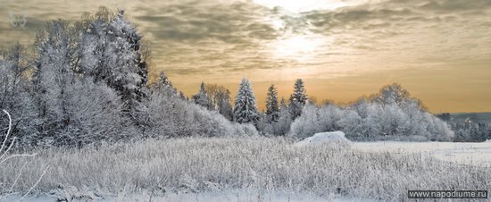 Фото Александр Кузнецов