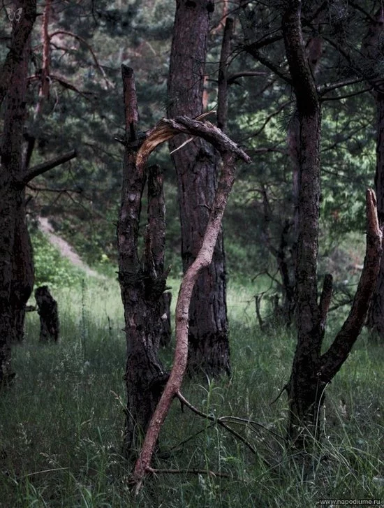 Aleksey Tg's photo