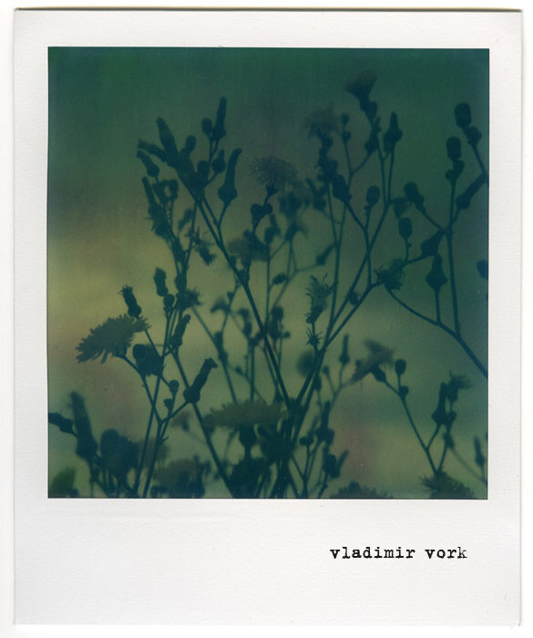 Фото Vladimir Vork