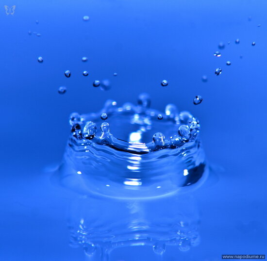 Фото Kris Kelvin