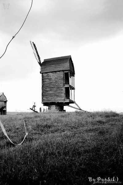 Фото Юлия Ляшок