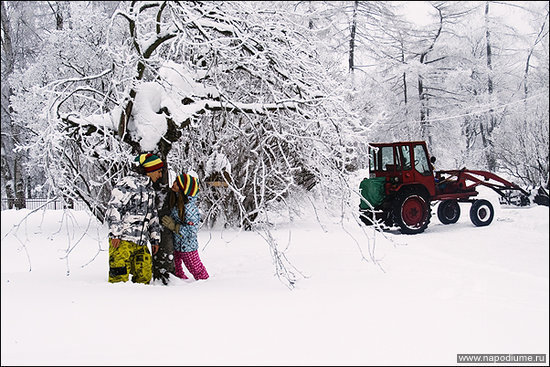 Фото маша львова