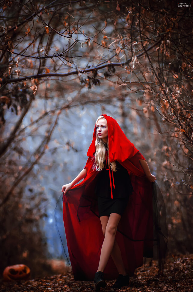 Фото Елизавета Fox Базыкина
