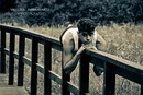 Mikajel Aramjan's photo