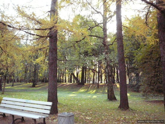 Фото Арсений Узбеков