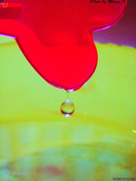 Фото Maria Ferle