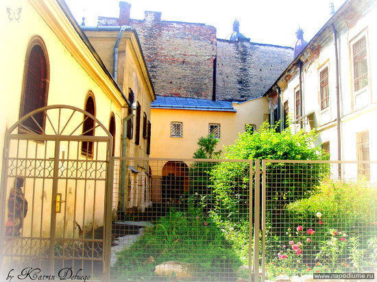 Фото Katrin Voronina
