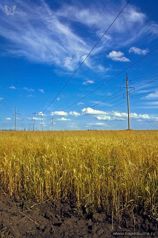 Фото Darya Po