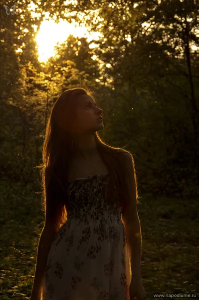 photo #1650918
