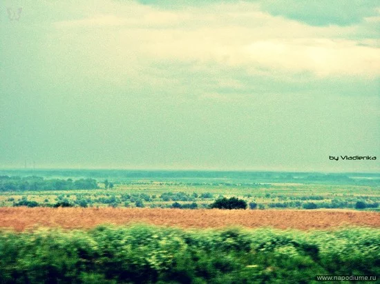 photo #1358127