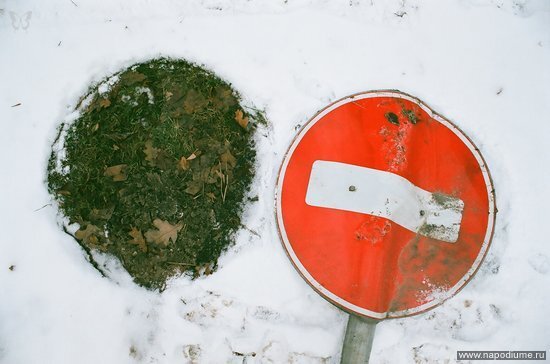 Фото Анастасия Большакова