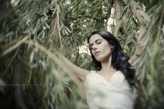Фото Armen Aghayan