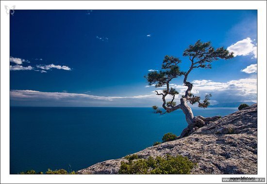 Новые фото http://www.bfoto.ru/new_photo.php