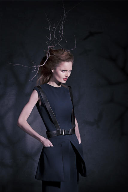 Shaded Сrone | Fashion project